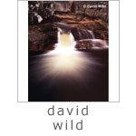 David Wild