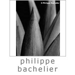 Philippe Bachelier